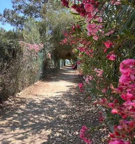 Domu De Mari Quartu SantʼElena